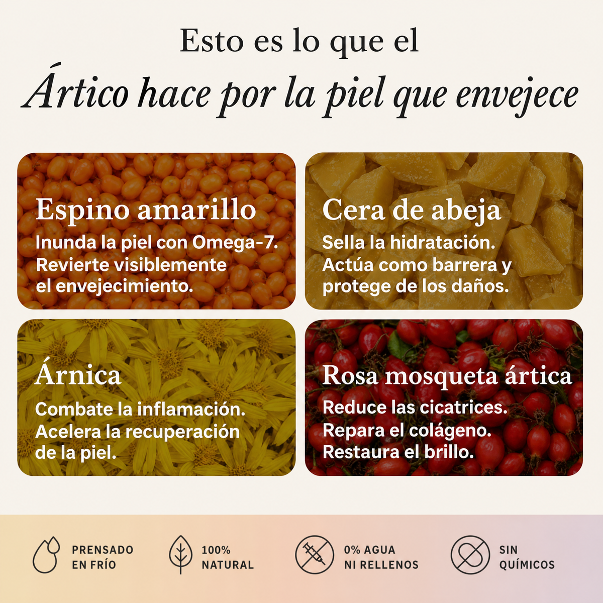 Kit de Cuidado Facial 4 en 1: Día, Noche, Contorno de Ojos y Exfoliante